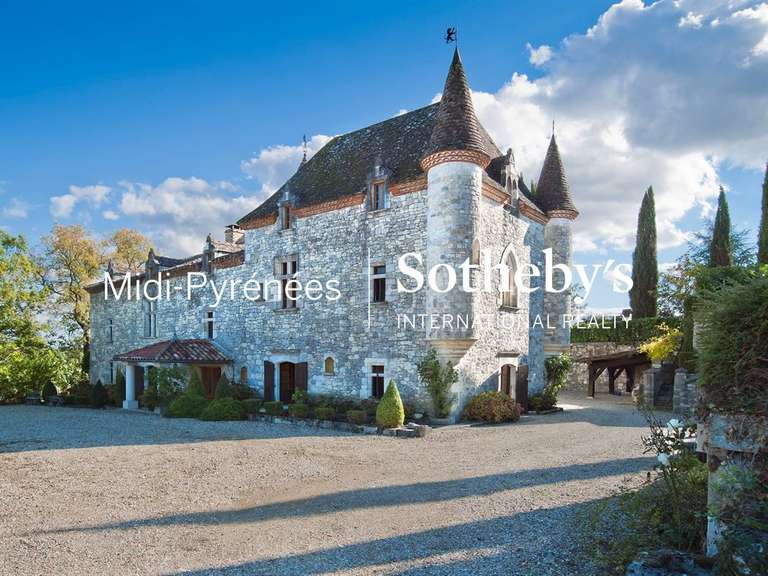 Castle Saint-Caprais-de-Lerm - 8 bedrooms - 1000m²