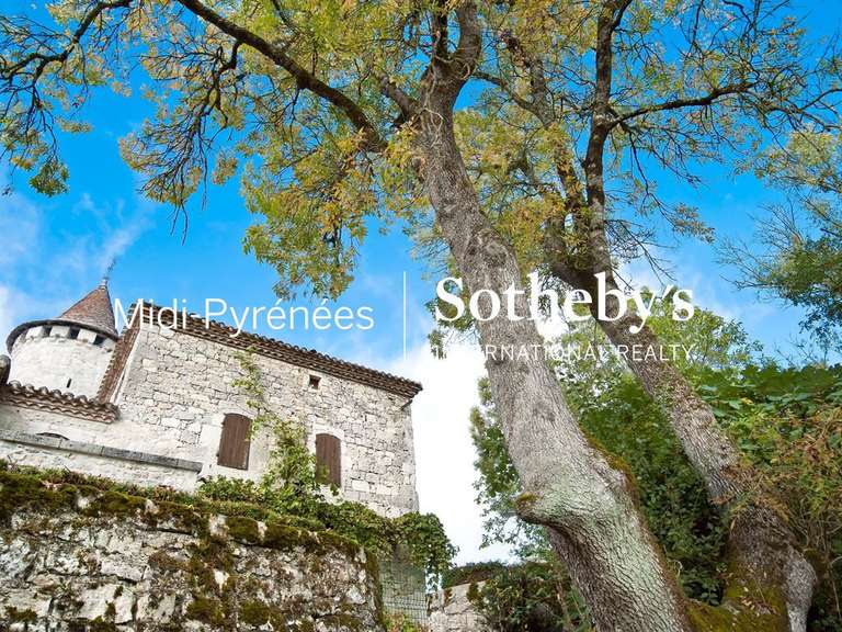 Castle Saint-Caprais-de-Lerm - 8 bedrooms - 1000m²