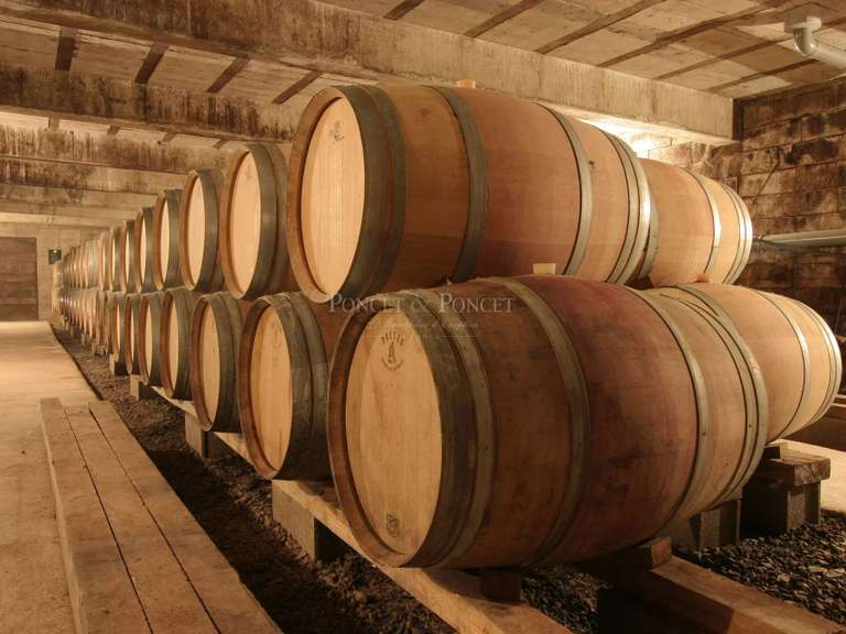 Propriété Saint-Chinian - 1280m²