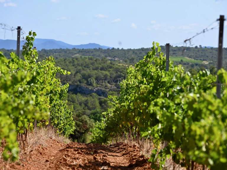 Propriété Saint-Chinian - 1280m²