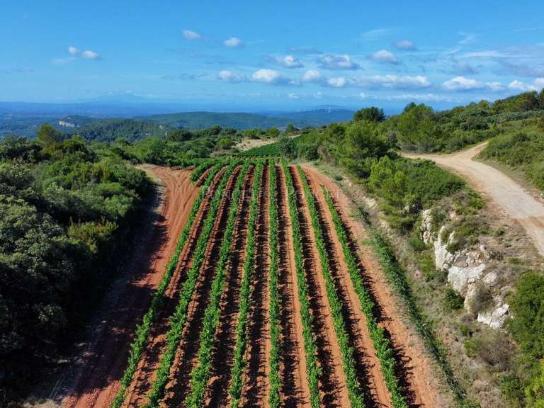 Propriété Saint-Chinian - 1280m²