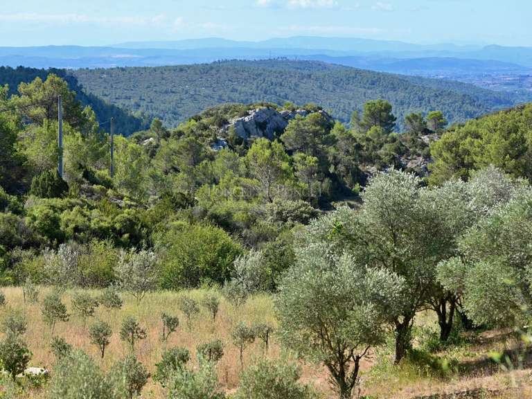 Propriété Saint-Chinian - 1280m²