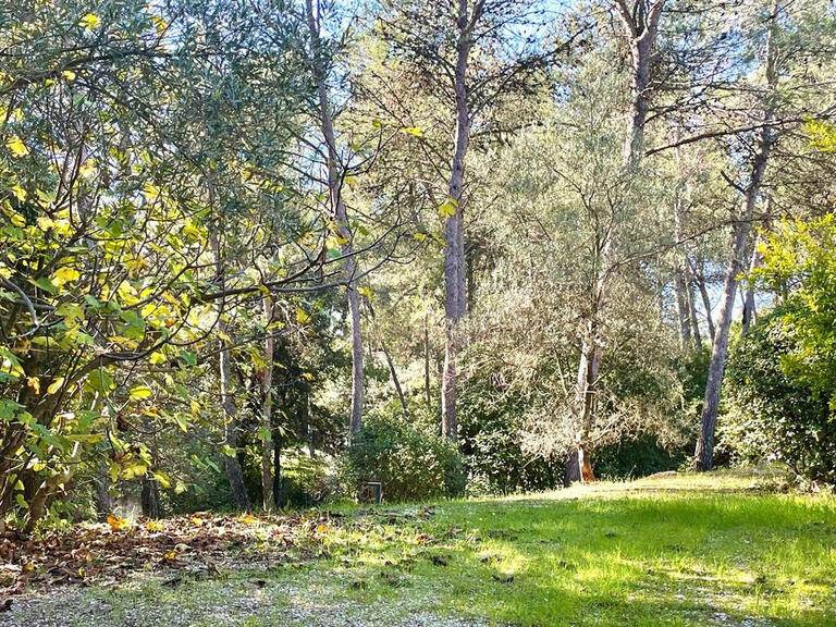 House Saint-Clément-de-Rivière - 10 bedrooms - 408m²