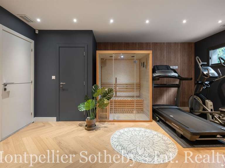 House Saint-Clément-de-Rivière - 5 bedrooms - 365m²