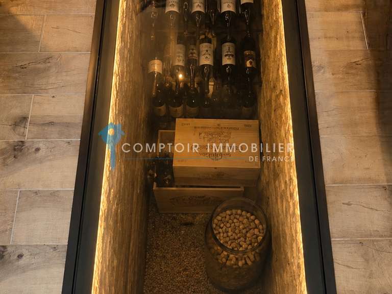 Villa Saint-Clément-de-Rivière - 3 chambres - 220m²