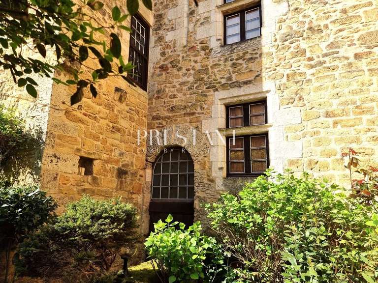 Hôtel particulier Saint-Cyprien - 5 chambres - 400m²