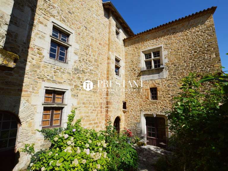 Hôtel particulier Saint-Cyprien - 5 chambres - 400m²