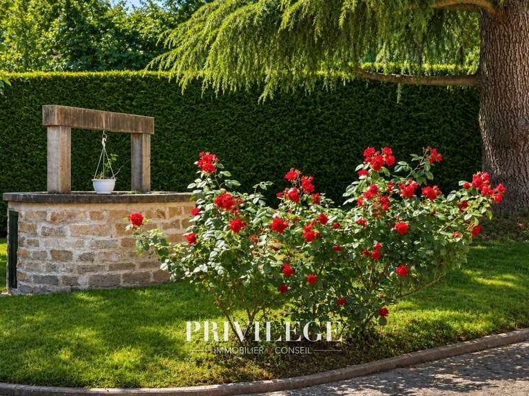 Maison Saint-Cyr-au-Mont-d'Or - 5 chambres - 229m²