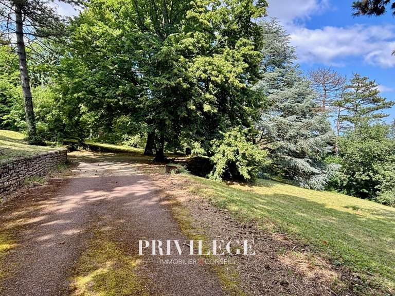 Maison Saint-Cyr-au-Mont-d'Or - 6 chambres - 220m²