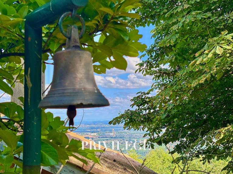 Maison Saint-Cyr-au-Mont-d'Or - 6 chambres - 220m²