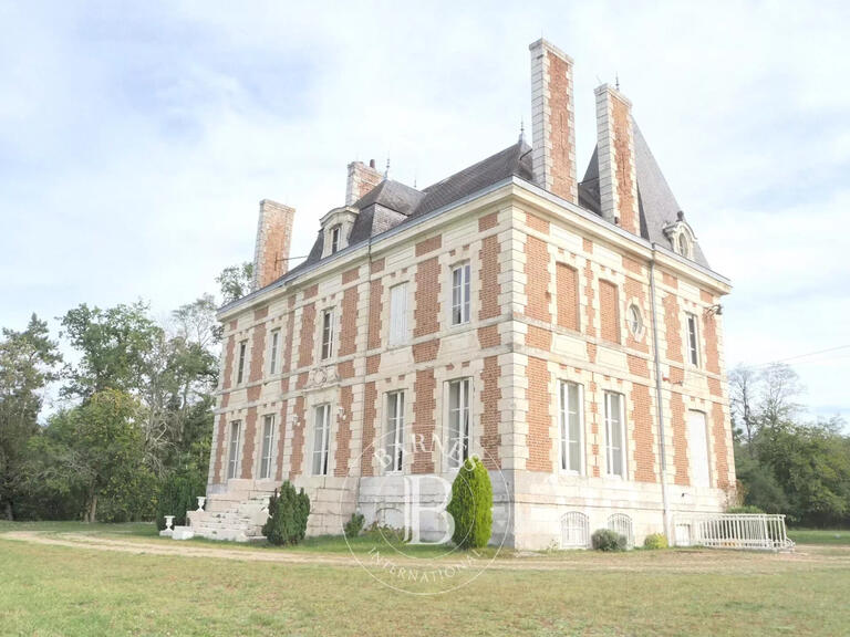 Vente Château Saint-Cyr-en-Val - 14 chambres