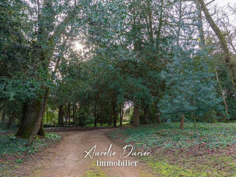 Maison Saint-Cyr-sur-Loire - 7 chambres - 400m²