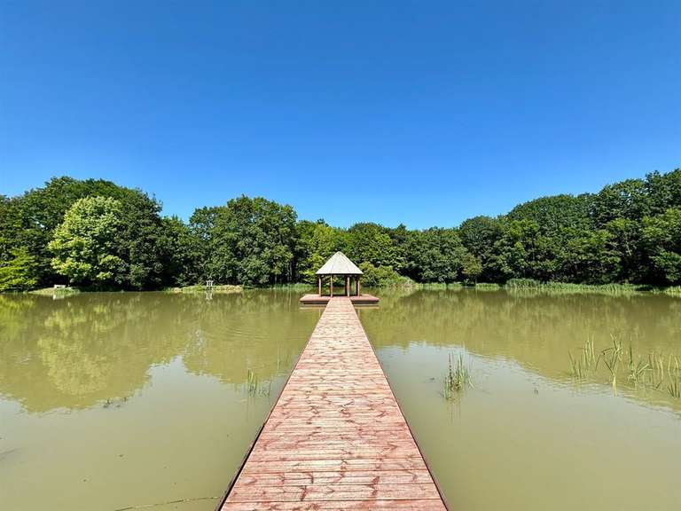 Maison Saint-Cyran-du-Jambot - 10 chambres - 640m²