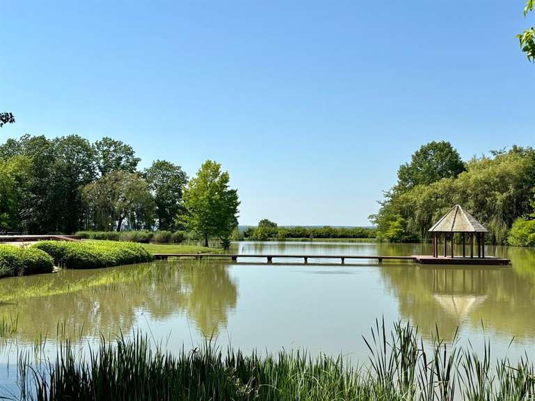 Maison Saint-Cyran-du-Jambot - 10 chambres - 640m²