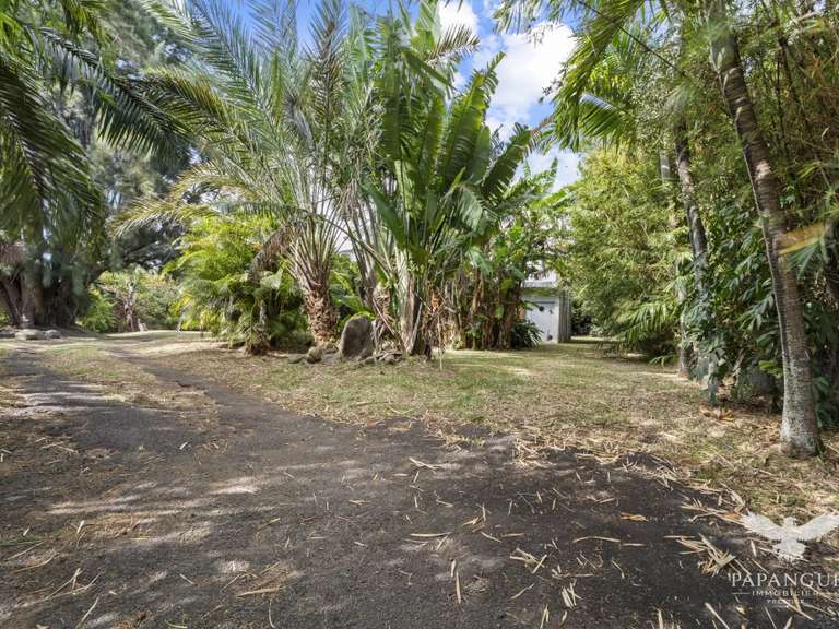 Terrain Saint-Denis - 469m²