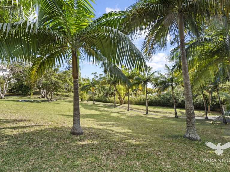 Terrain Saint-Denis - 469m²
