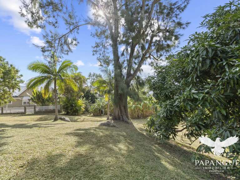 Terrain Saint-Denis - 469m²