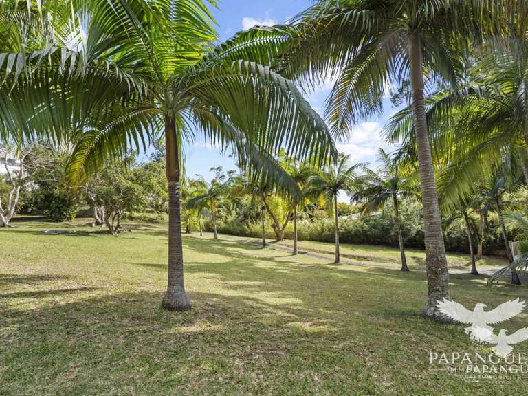 Terrain Saint-Denis - 469m²