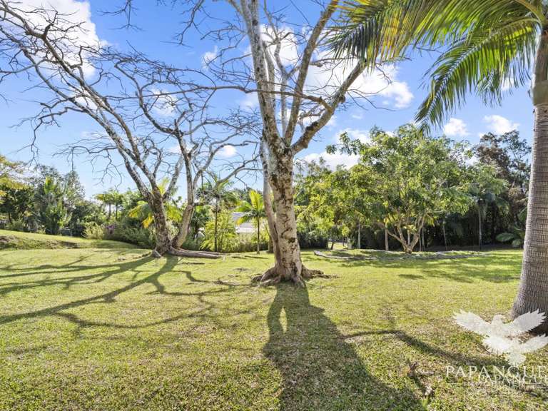 Terrain Saint-Denis - 469m²