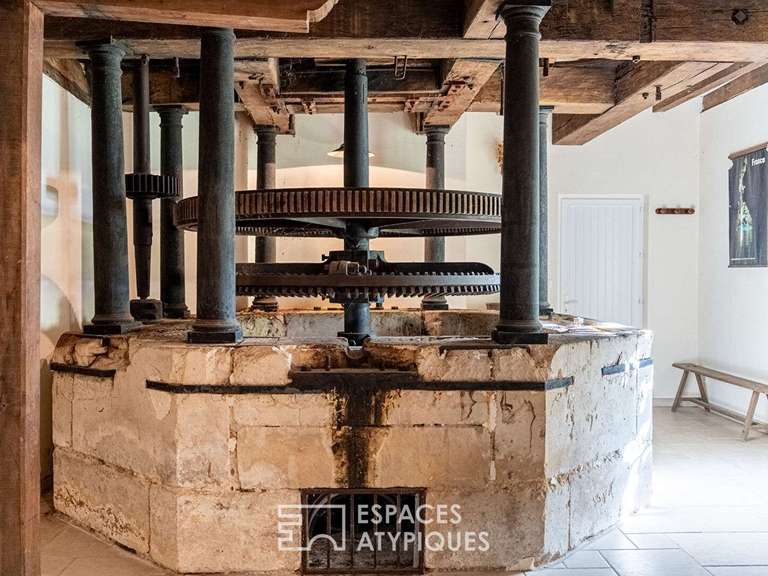 Maison Saint-Denis-d'Orques - 12 chambres