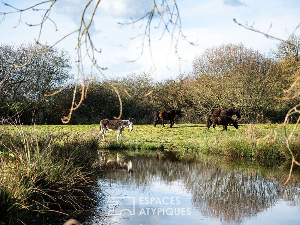 Maison Saint-Denis-d'Orques