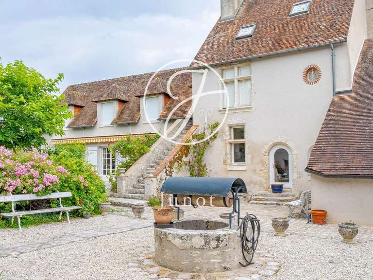 Maison Saint-Denis-sur-Loire - 400m²