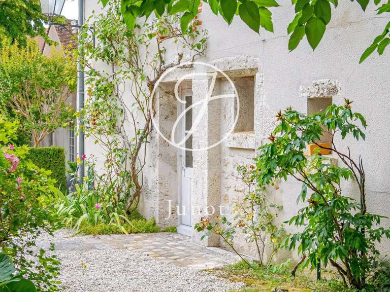 Maison Saint-Denis-sur-Loire - 400m²
