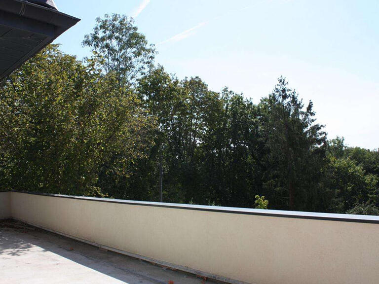 Appartement Saint-Didier-au-Mont-d'Or - 4 chambres