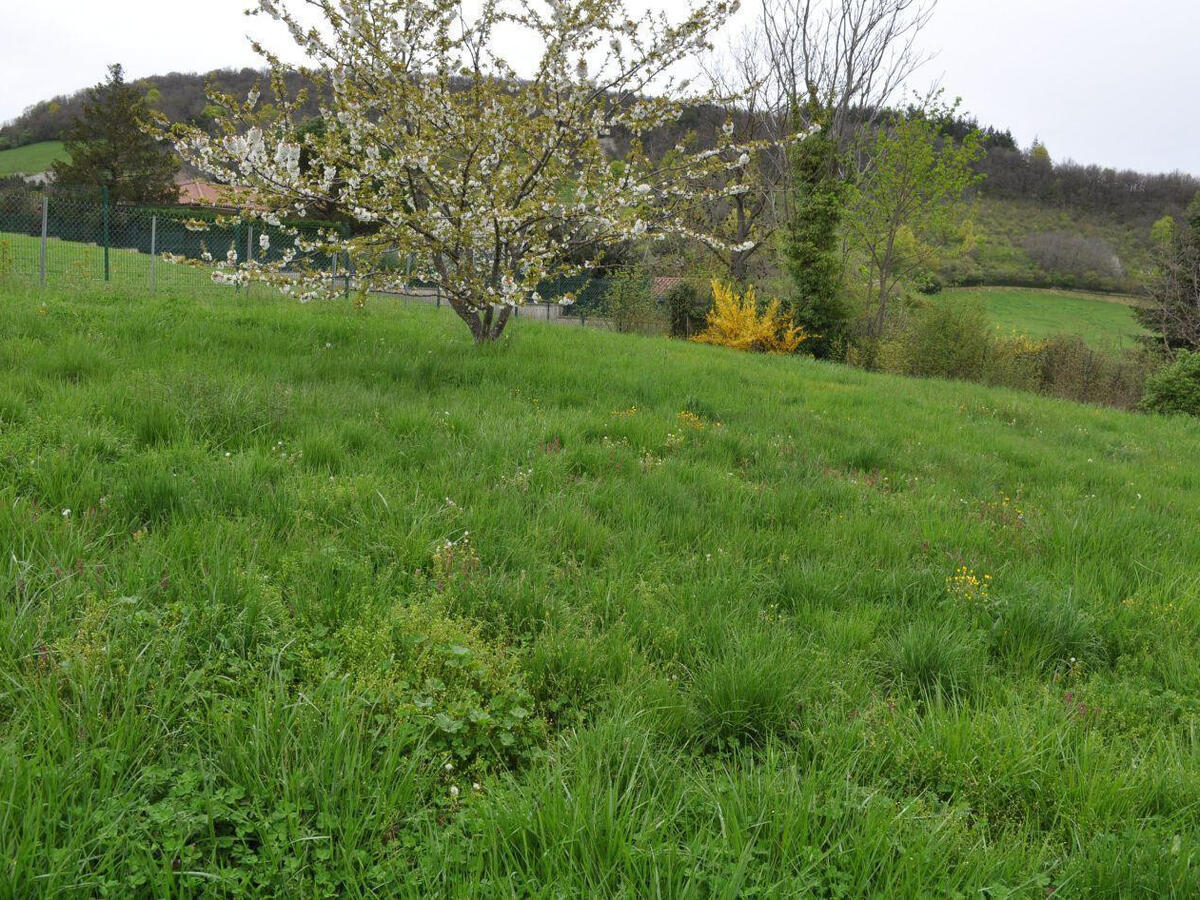 Terrain Saint-Didier-au-Mont-d'Or