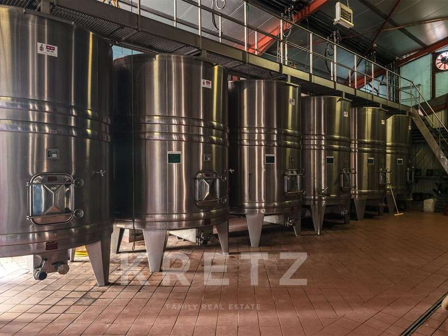 Château Saint-Émilion