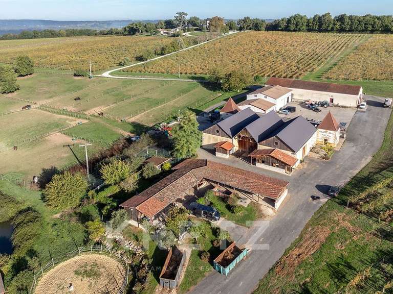 Château Saint-Émilion - 24 chambres - 1300m²