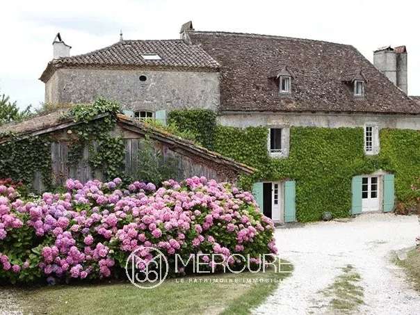 Maison Saint-Émilion - 6 chambres - 581m²