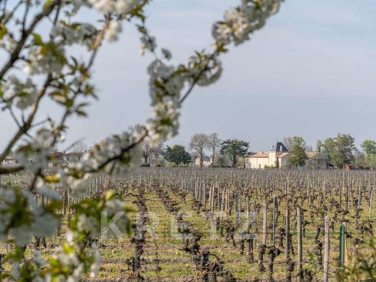 Maison Saint-Émilion - 4 chambres - 240m²