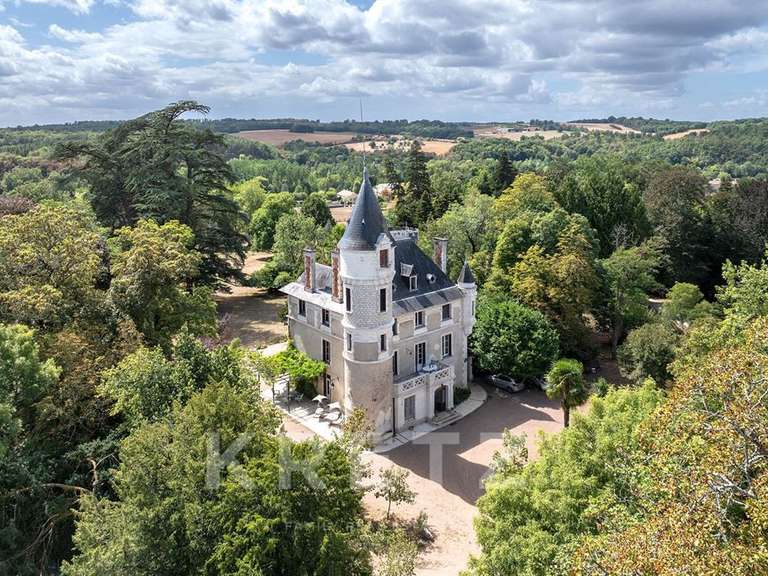 Castle Saint-Estèphe - 8 bedrooms - 600m²