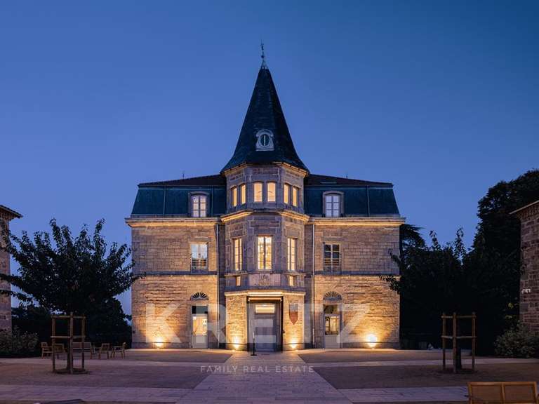 Château Saint-Étienne - 30 chambres - 4500m²