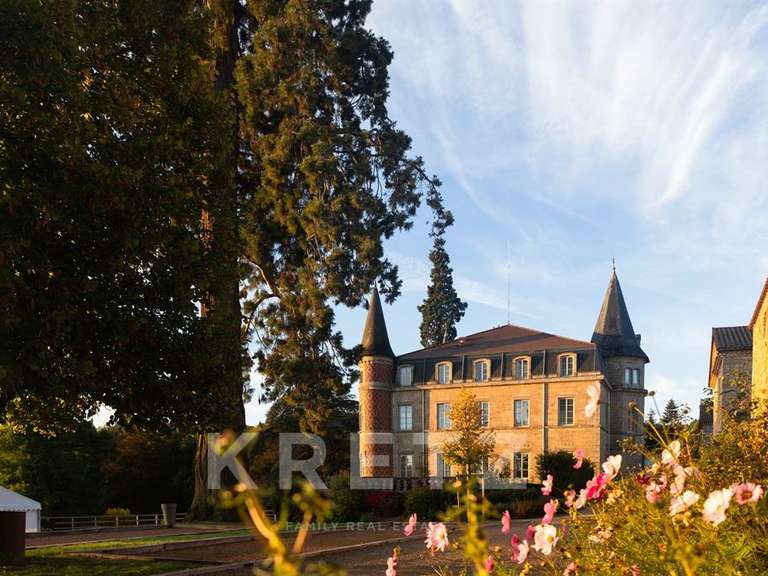 Château Saint-Étienne - 30 chambres - 4500m²