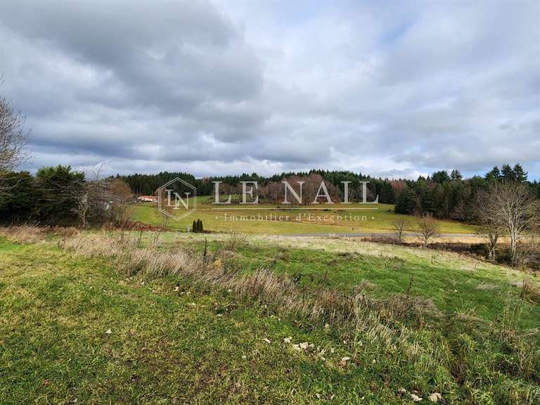 House Saint-Étienne - 5 bedrooms - 388m²