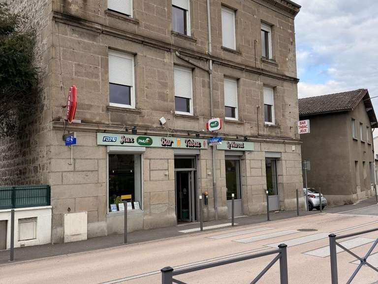 Maison Saint-Étienne - 509m²