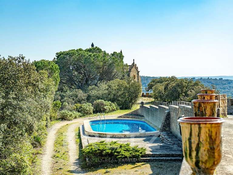 Château Saint-Étienne-des-Sorts - 7 chambres - 386m²