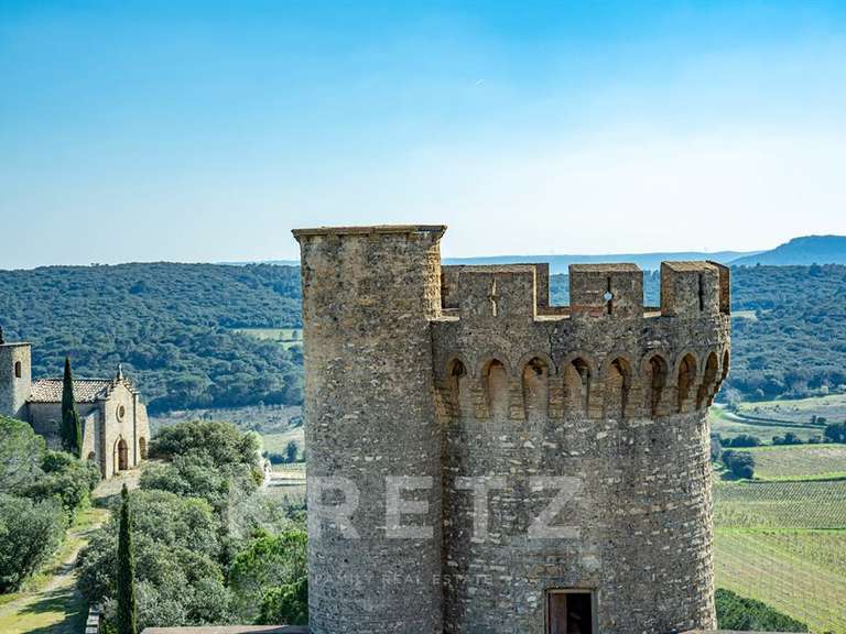 Château Saint-Étienne-des-Sorts - 7 chambres - 386m²