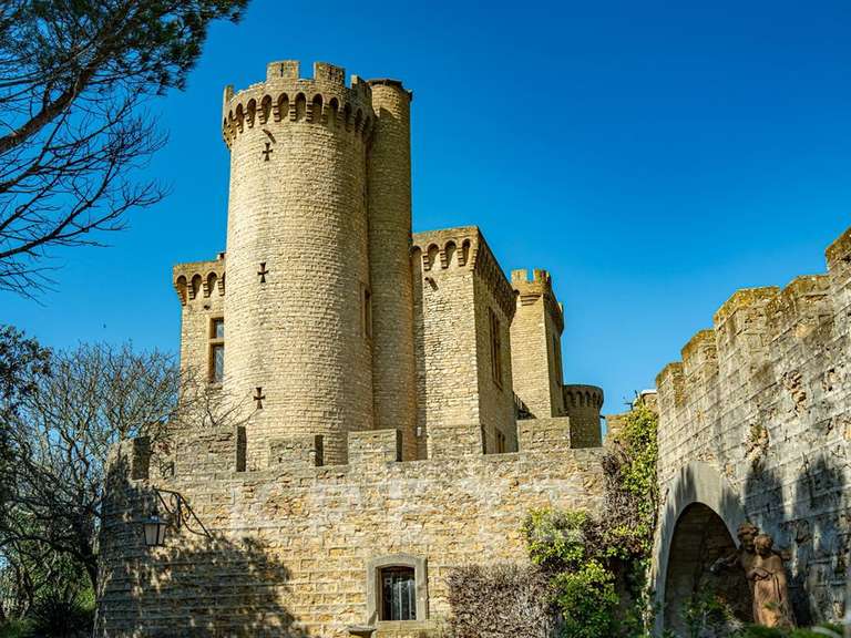 Château Saint-Étienne-des-Sorts - 7 chambres - 386m²