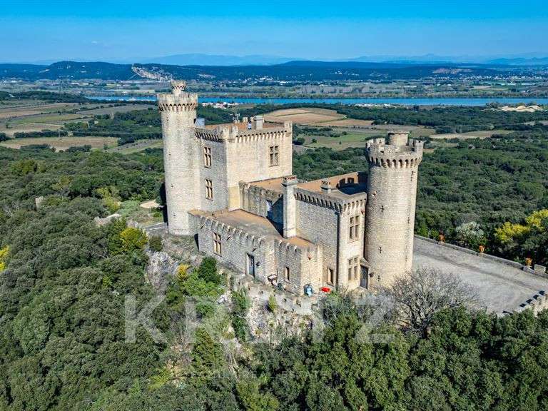 Château Saint-Étienne-des-Sorts - 7 chambres - 386m²