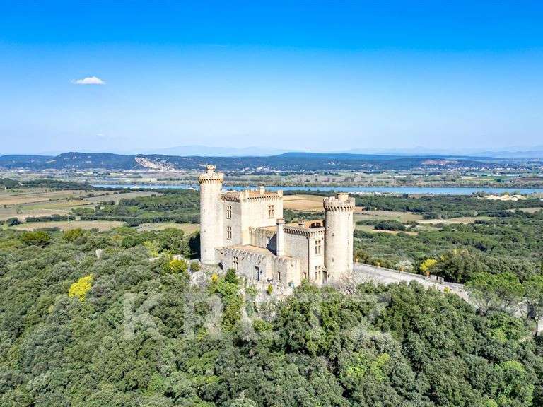 Château Saint-Étienne-des-Sorts - 7 chambres - 386m²