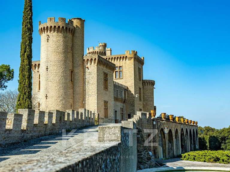 Château Saint-Étienne-des-Sorts - 7 chambres - 386m²