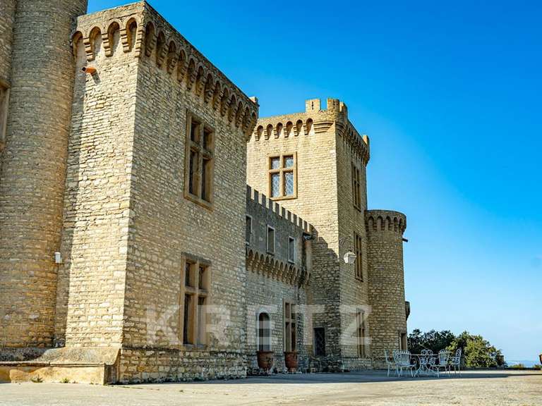 Château Saint-Étienne-des-Sorts - 7 chambres - 386m²