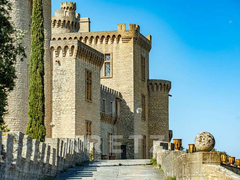 Château Saint-Étienne-des-Sorts - 7 chambres - 386m²