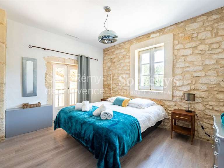 Maison Saint-Étienne-du-Grès - 9 chambres - 495m²