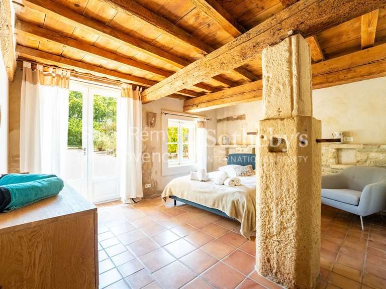 Maison Saint-Étienne-du-Grès - 9 chambres - 495m²