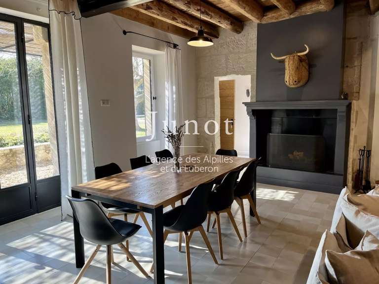Maison Saint-Étienne-du-Grès - 4 chambres - 2000m²
