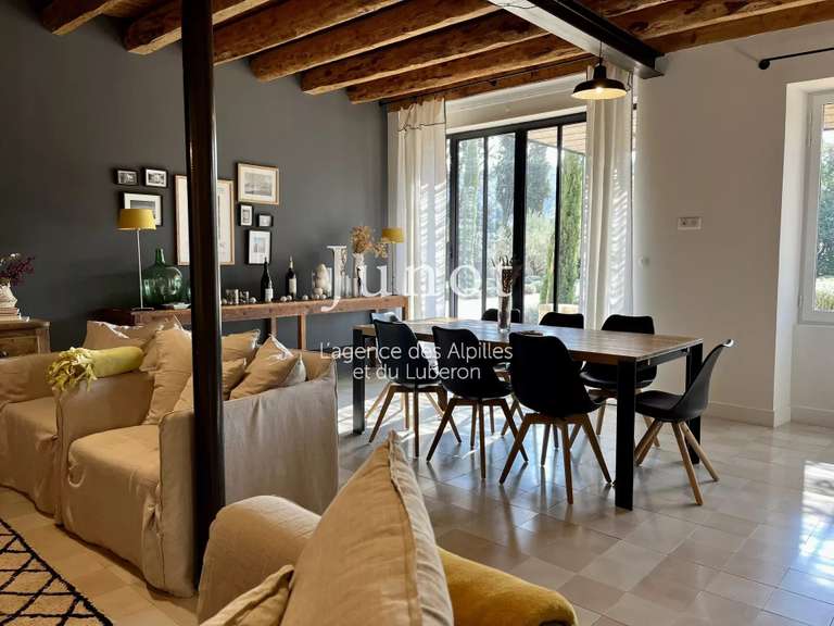 Maison Saint-Étienne-du-Grès - 4 chambres - 2000m²
